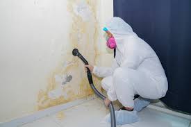 Asbestos and Lead Testing During Mold Inspection in Nicholson, MS